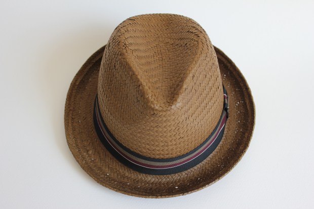 Trilby brim up
